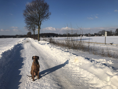 Bild "Henkabenteuer:henk_auf_dem_wiedauer_weg_im_schmee_01.jpg"